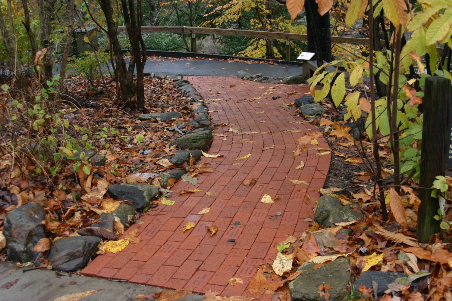 A brick pathway at the Nature Center.
