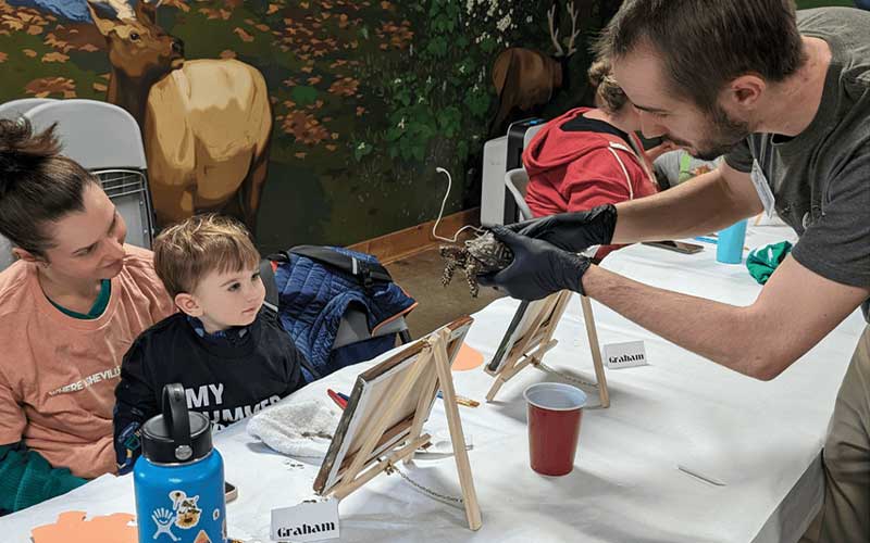 Painting with animasl event