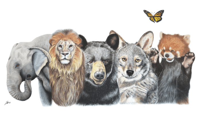 Animals from the past 100 years