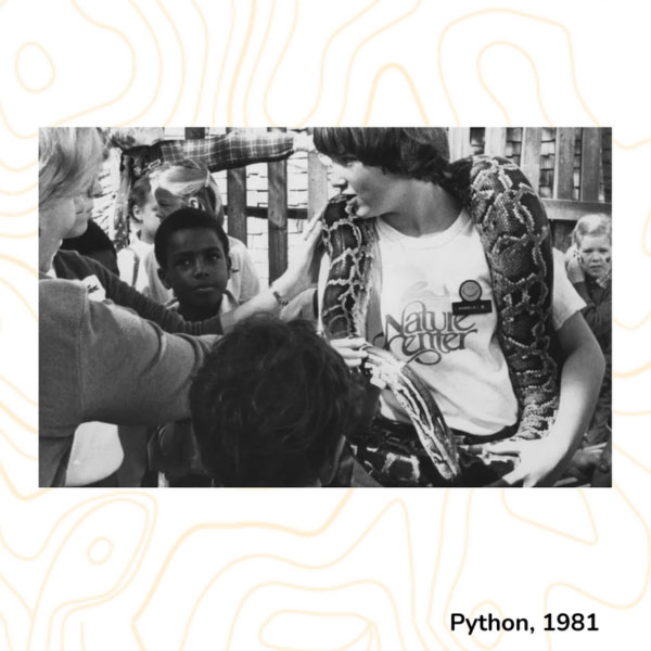 Python, 1981