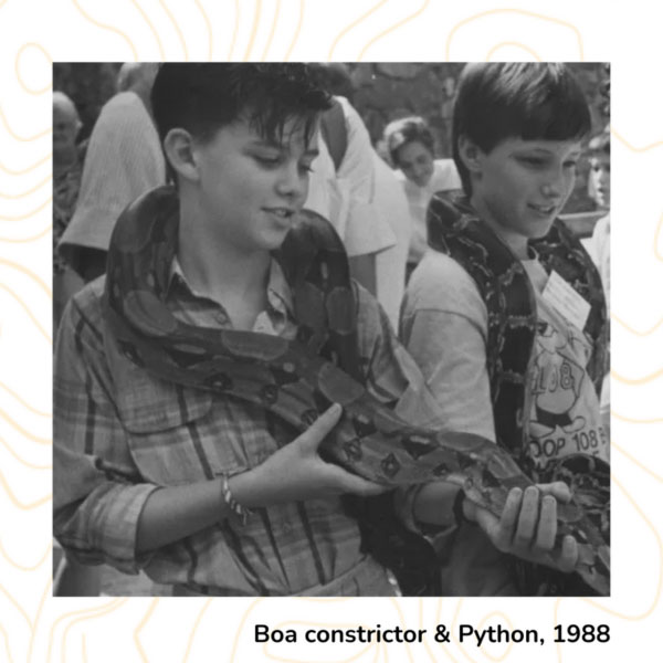 Boa Constrictor & Python, 1988