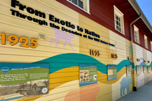Nature Center's History Wall