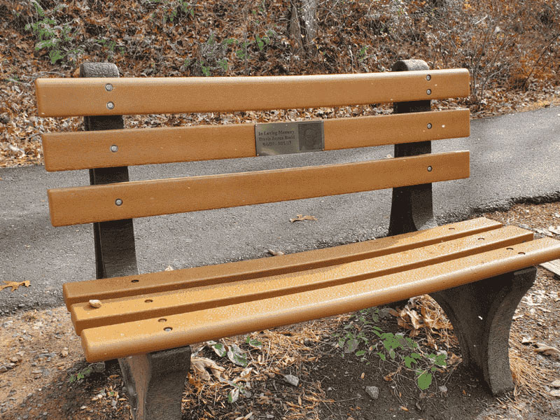 Dedicated bench with name plate
