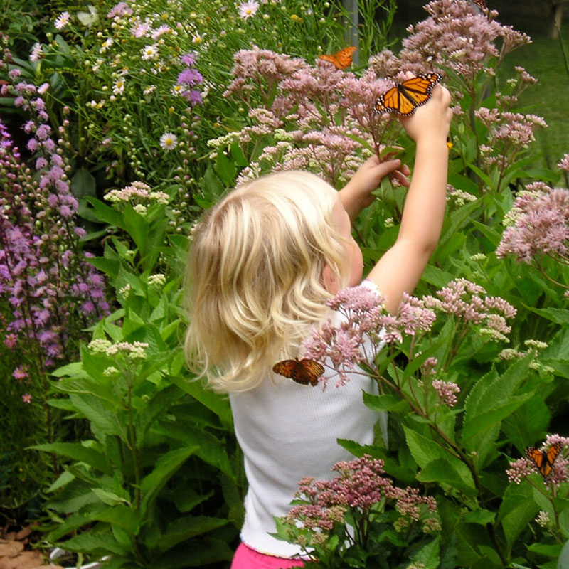 Young girl enjoying the WNC Nature Center's Butterfly Garden