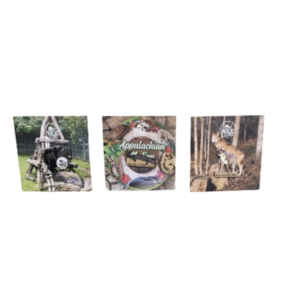 WNC Nature Center Enamel Pins