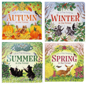 Seasons Flap Books(18mo+)