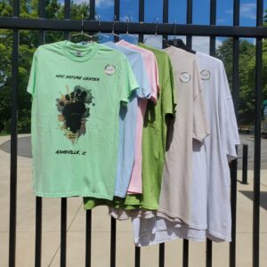 Adult Shirt: Solar Magic Short Sleeve