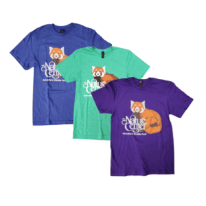 Adult Shirt: Red Panda
