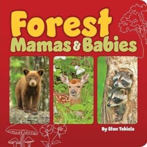 Forest Mamas & Babies Book (0-5 yrs)
