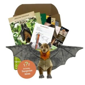Edzoocation Conservationist Bat Box (9-12 yrs)
